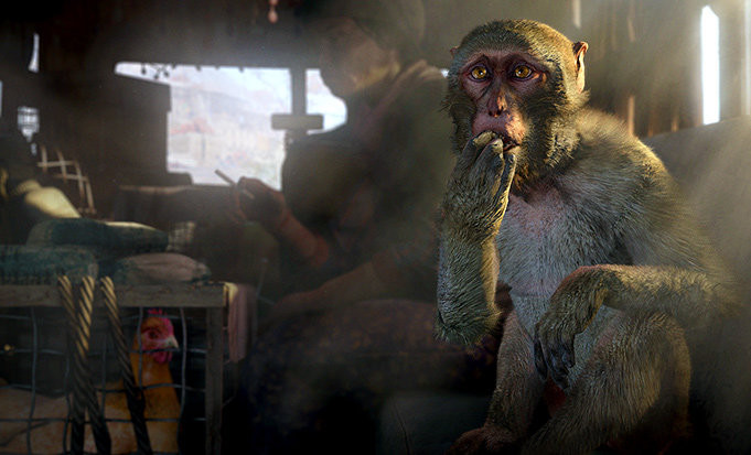 Far Cry 4 (PC) Letölthető PC
