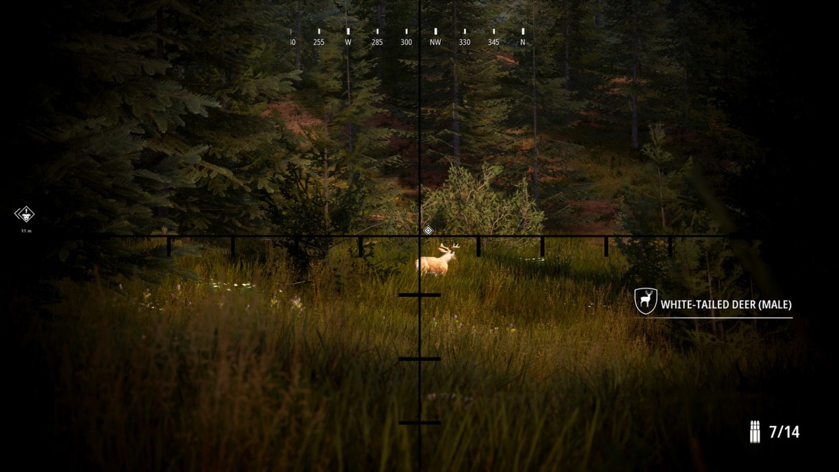 Hunting Simulator 2 (Letölthető) PC
