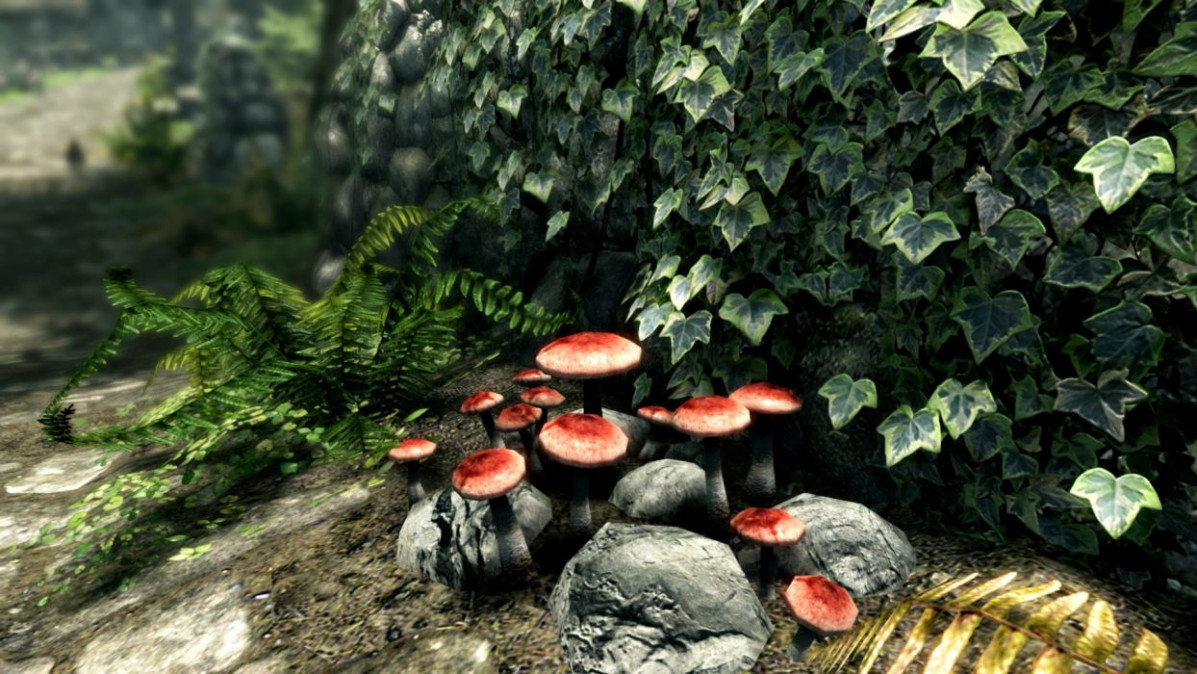 The Elder Scrolls V: Skyrim Special Edition (PC) Letölthető PC