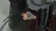 COCOON thumbnail