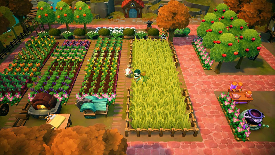 Fae Farm Nintendo Switch