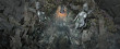 Xbox Series X 1TB + Diablo IV Bundle thumbnail